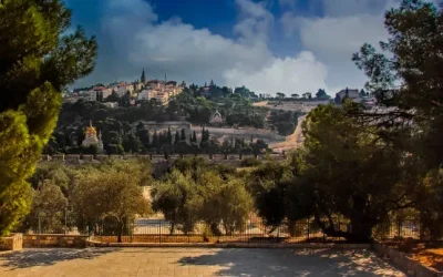 What marks the beginning of the last generation, and what shall this generation see?